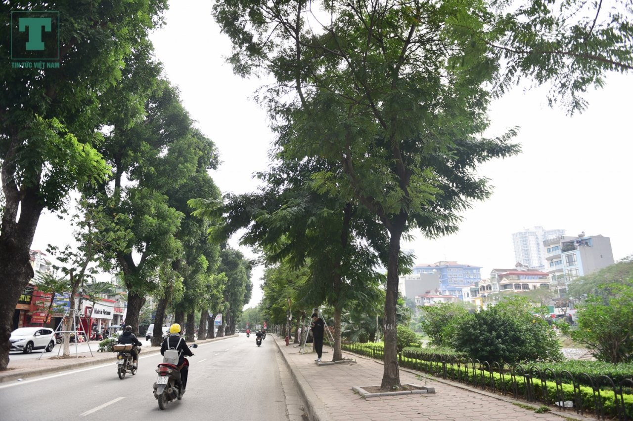 ha-noi-ngam-hang-cay-xanh-muot-tren-duong-lang-truoc-ngay-di-chuyen