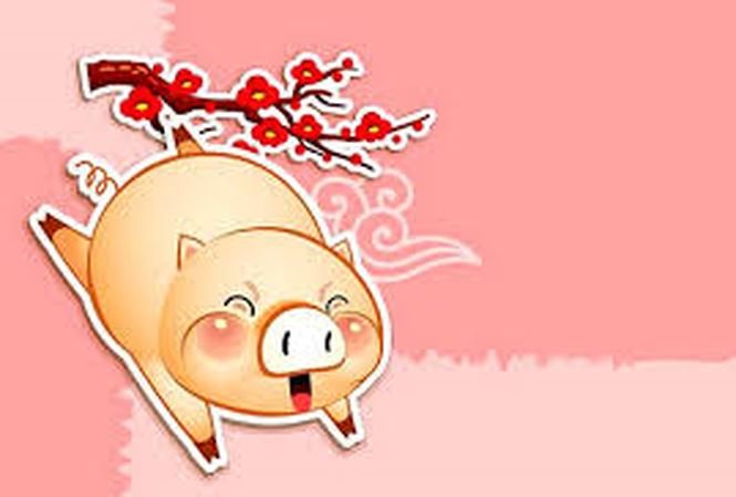 tu-vi-nam-2019-cua-12-con-giap-su-nghiep-van-han-tinh-yeu-va-suc-khoe-phan-2