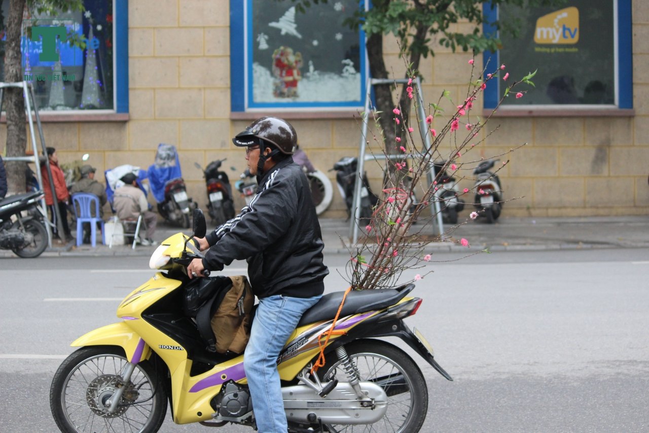 ha-noi-chim-trong-bien-suong-mu-sang-dau-tuan