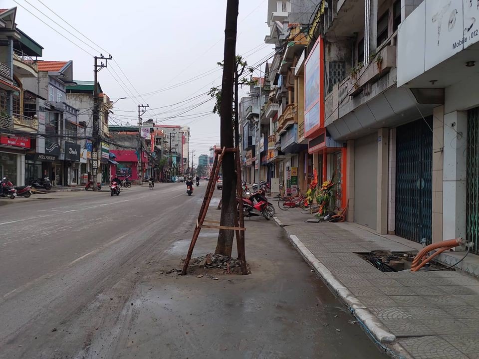 la-lung-hang-tram-cay-xanh-moc-duoi-long-duong