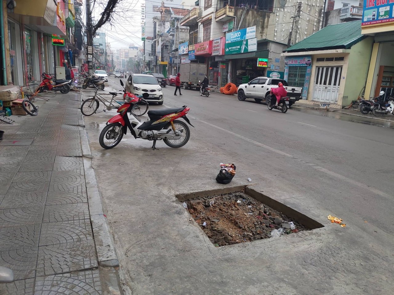 la-lung-hang-tram-cay-xanh-moc-duoi-long-duong