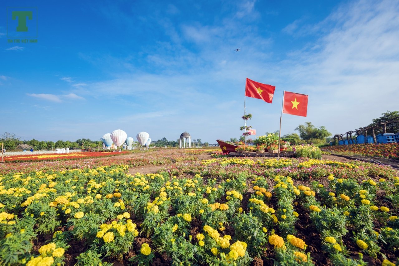 nong-dan-ghep-hang-van-cay-hoa-thanh-chiec-cup-vo-dich-co-vu-doi-tuyen-bong-da-viet-nam