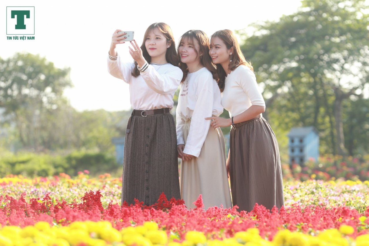 nong-dan-ghep-hang-van-cay-hoa-thanh-chiec-cup-vo-dich-co-vu-doi-tuyen-bong-da-viet-nam
