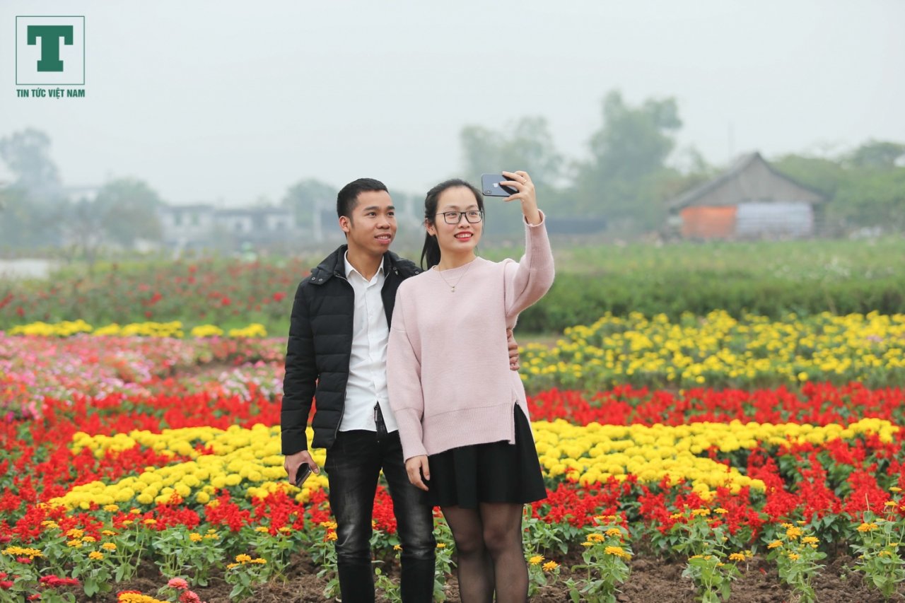 nong-dan-ghep-hang-van-cay-hoa-thanh-chiec-cup-vo-dich-co-vu-doi-tuyen-bong-da-viet-nam