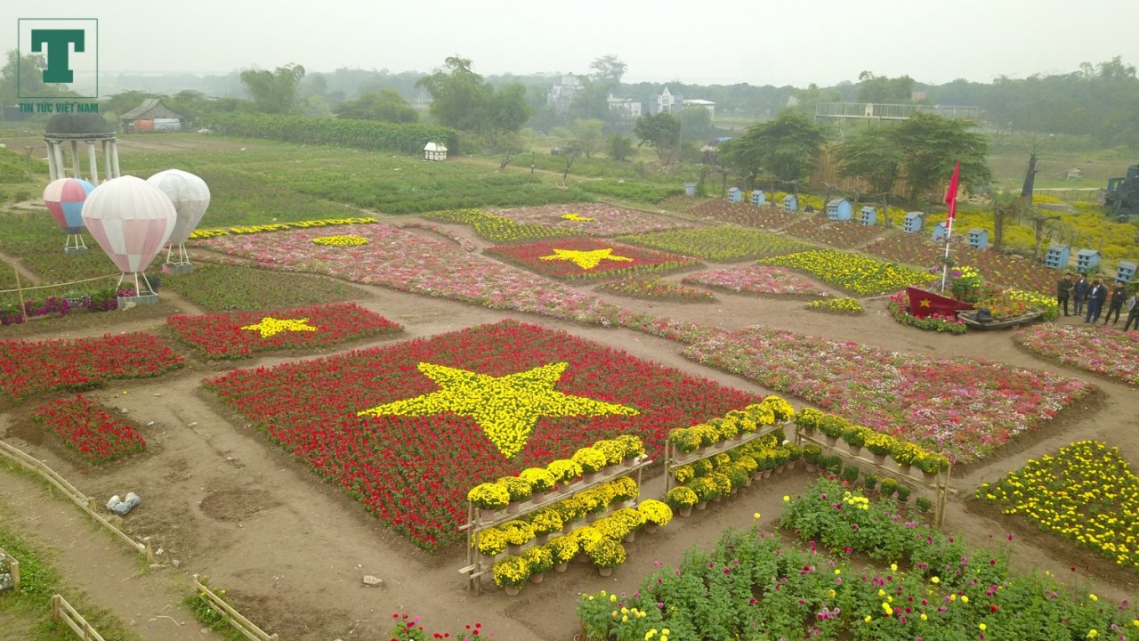 nong-dan-ghep-hang-van-cay-hoa-thanh-chiec-cup-vo-dich-co-vu-doi-tuyen-bong-da-viet-nam