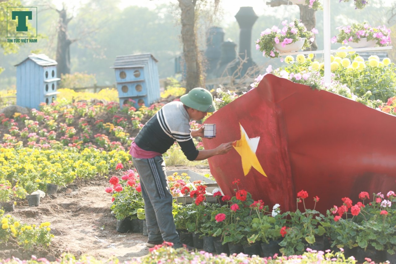 nong-dan-ghep-hang-van-cay-hoa-thanh-chiec-cup-vo-dich-co-vu-doi-tuyen-bong-da-viet-nam