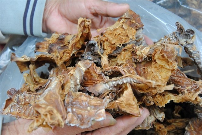xu-huong-chon-qua-bieu-tet-doc-dao-dip-tet-ky-hoi-2019
