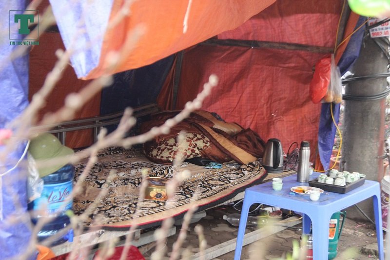 muon-kieu-leu-ngu-via-he-trong-dao-dip-tet-nguyen-dan-2019