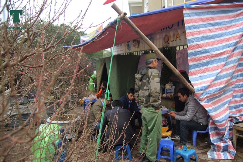 muon-kieu-leu-ngu-via-he-trong-dao-dip-tet-nguyen-dan-2019