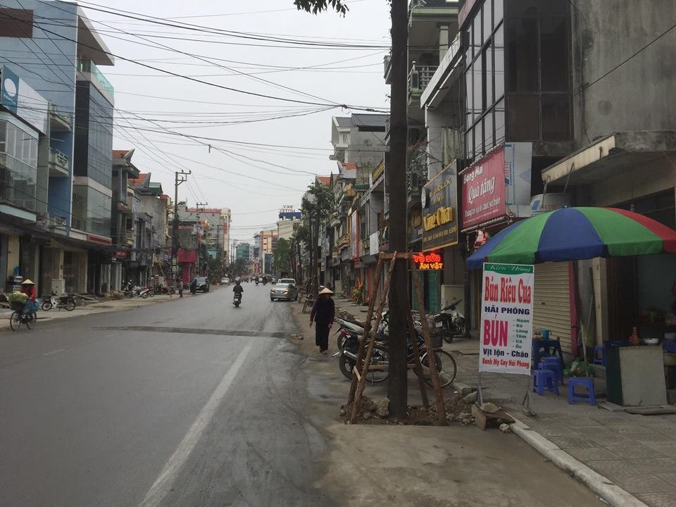 quang-ninh-bi-che-toi-boi-hang-cay-vua-trong-o-long-duong-da-phai-nho-bo