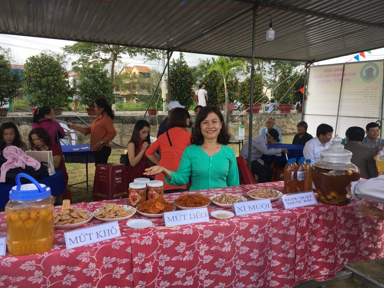 can-canh-nhung-chau-quat-khung-tri-gia-hang-chuc-trieu-dong