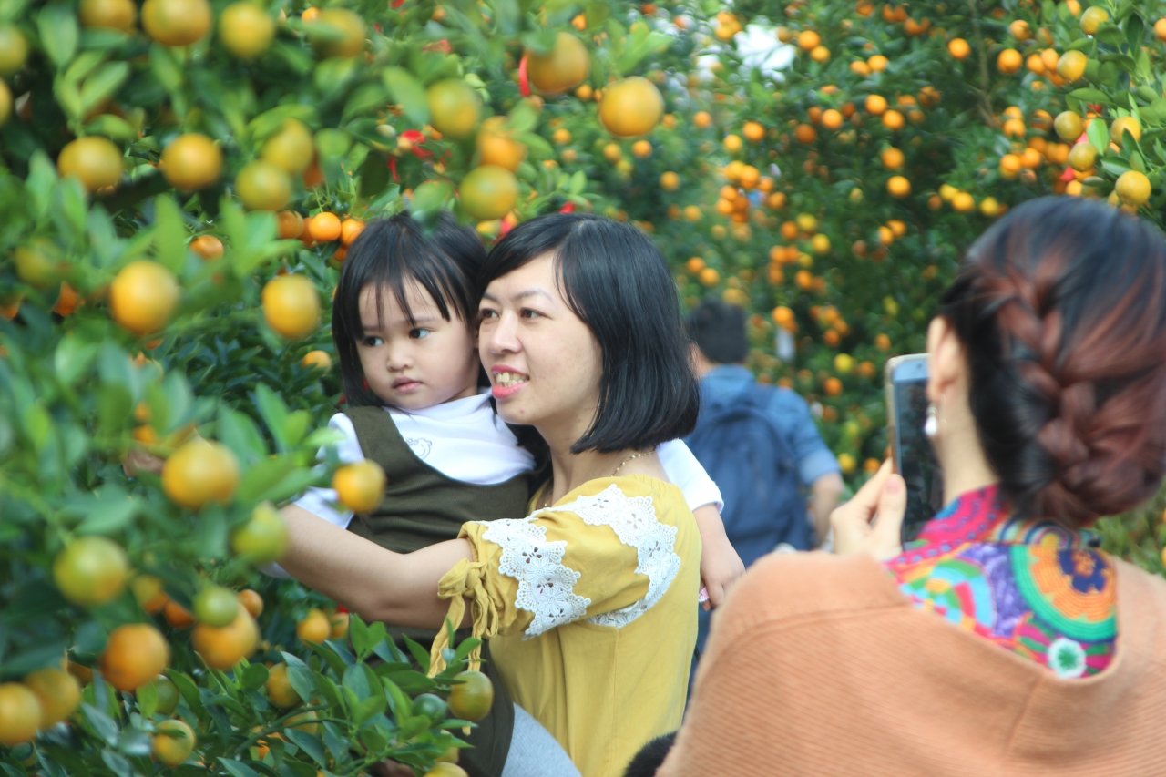 can-canh-nhung-chau-quat-khung-tri-gia-hang-chuc-trieu-dong