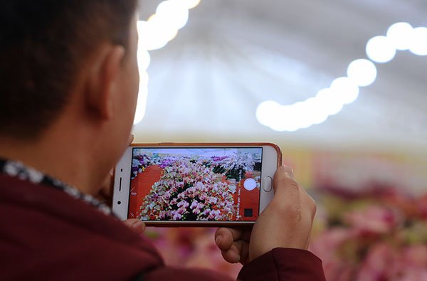 can-canh-vuon-phat-thu-tien-ty-o-ha-noi-phuc-vu-tet-ky-hoi-2019
