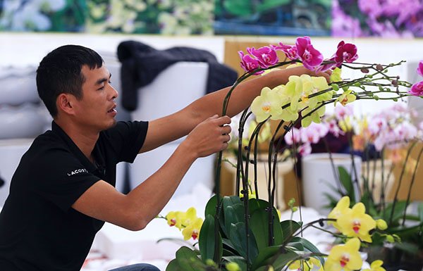 can-canh-vuon-phat-thu-tien-ty-o-ha-noi-phuc-vu-tet-ky-hoi-2019