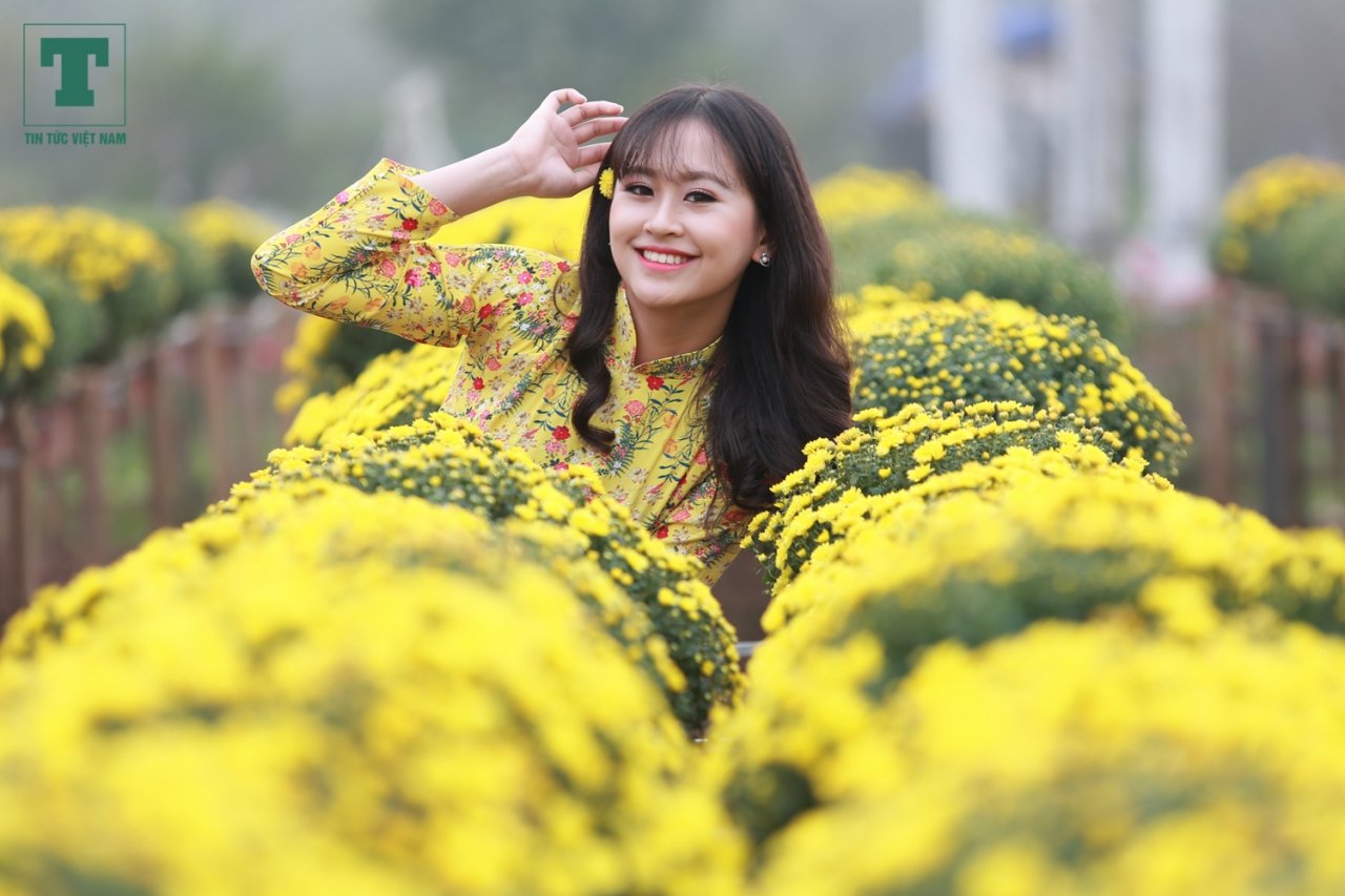 cuc-mam-xoi