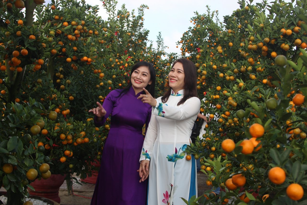 hoi-an-tung-bung-ngay-hoi-quat-canh