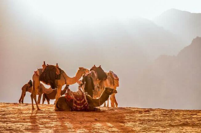Những điều thú vị về đất nước Jordan
