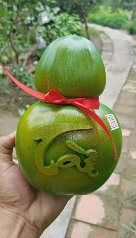 gan-tet-dua-ho-lo-tai-loc-dua-khuon-vang-dat-hang