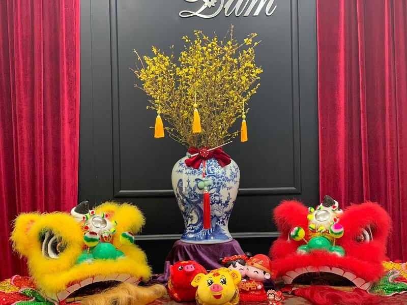thu-choi-hoa-mai-my-tien-trieu-dip-tet-ky-hoi-2019
