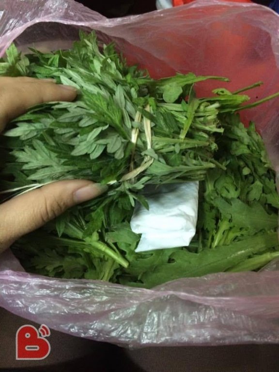 Túi đồ mẹ gửi