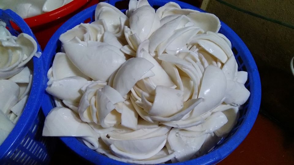 dua-non-lam-mut-tang-gia-dip-tet-nguyen-dan-2019