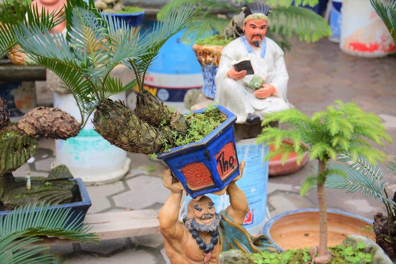 van-tue-bonsai-gia-bac-trieu-hut-khach-mua-choi-tet