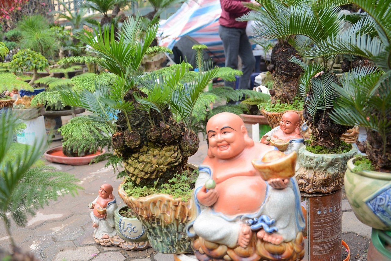van-tue-bonsai-gia-bac-trieu-hut-khach-mua-choi-tet