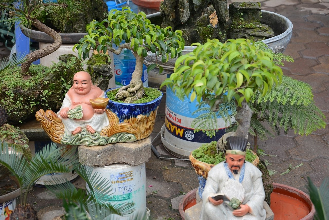 van-tue-bonsai-gia-bac-trieu-hut-khach-mua-choi-tet