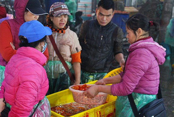 cho-ca-lon-nhat-ha-noi-ruc-vang-truoc-ngay-cung-ong-cong-ong-tao