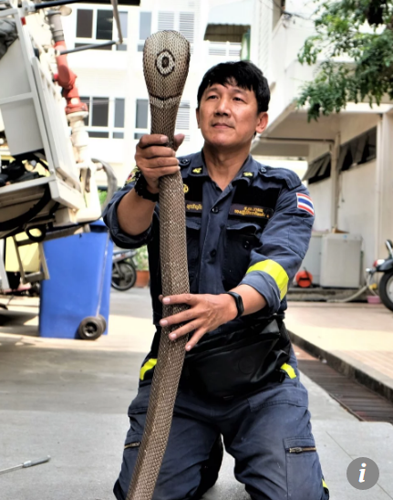 vi-sao-ran-tran-ngap-thu-do-bangkok-cua-thai-lan