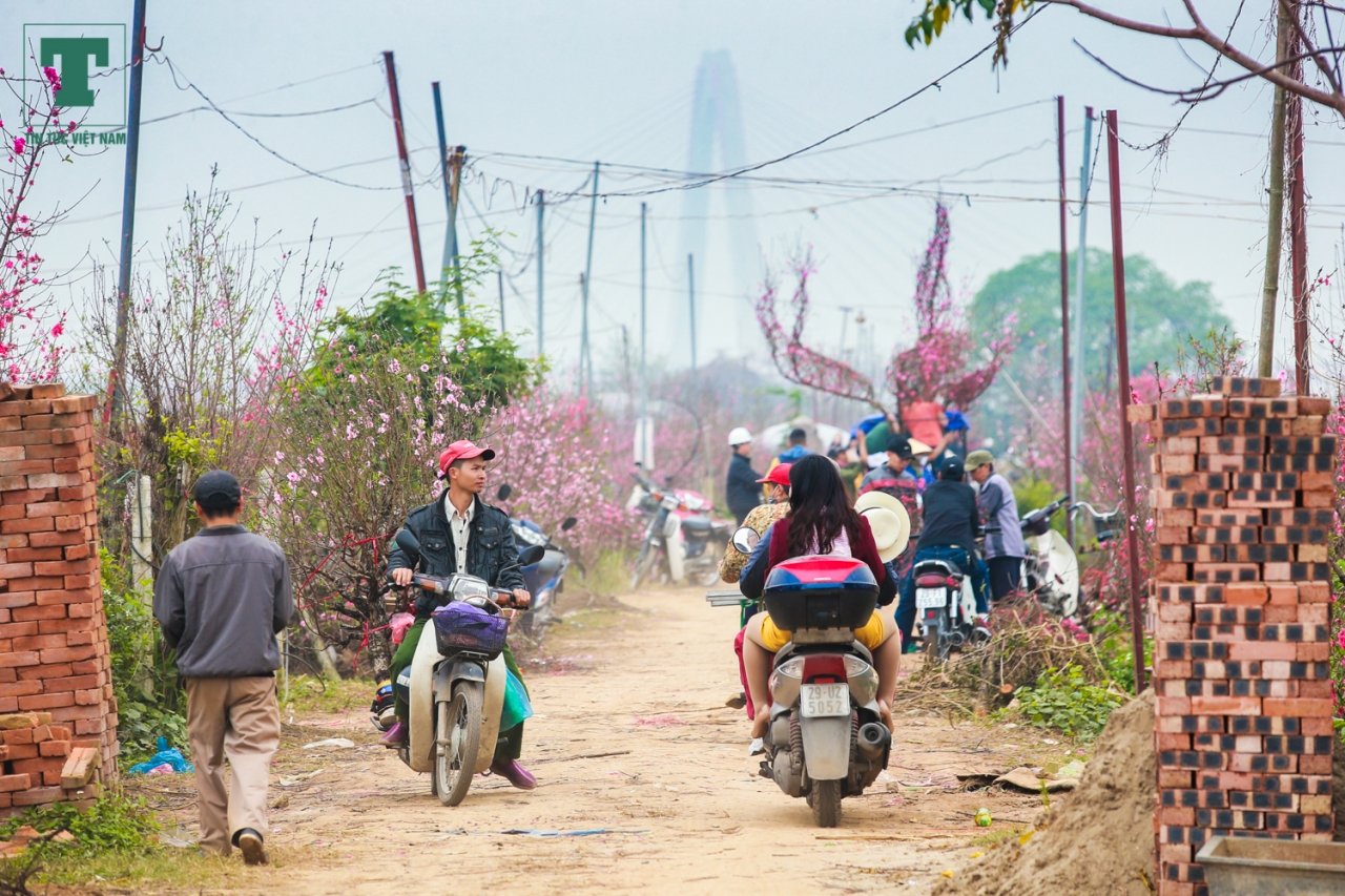 lang-dao-nhat-tan-ngap-sac-do-don-tet-ve