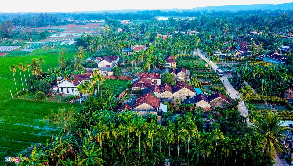 ngam-lang-hoa-tet-lon-nhat-mien-trung