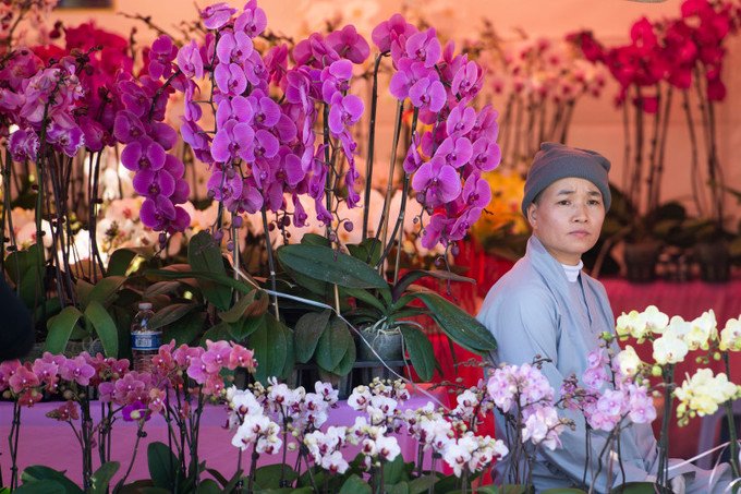 Chợ hoa Tết rực rỡ ở Little Saigon