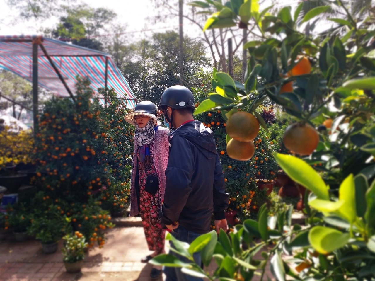 can-canh-cho-hoa-lon-nhat-hue-nhon-nhip-nhung-ngay-can-ke-cai-tet