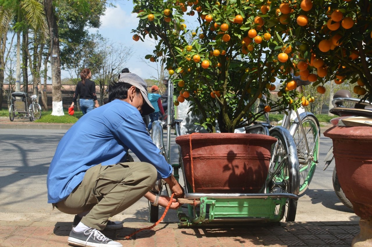 can-canh-cho-hoa-lon-nhat-hue-nhon-nhip-nhung-ngay-can-ke-cai-tet