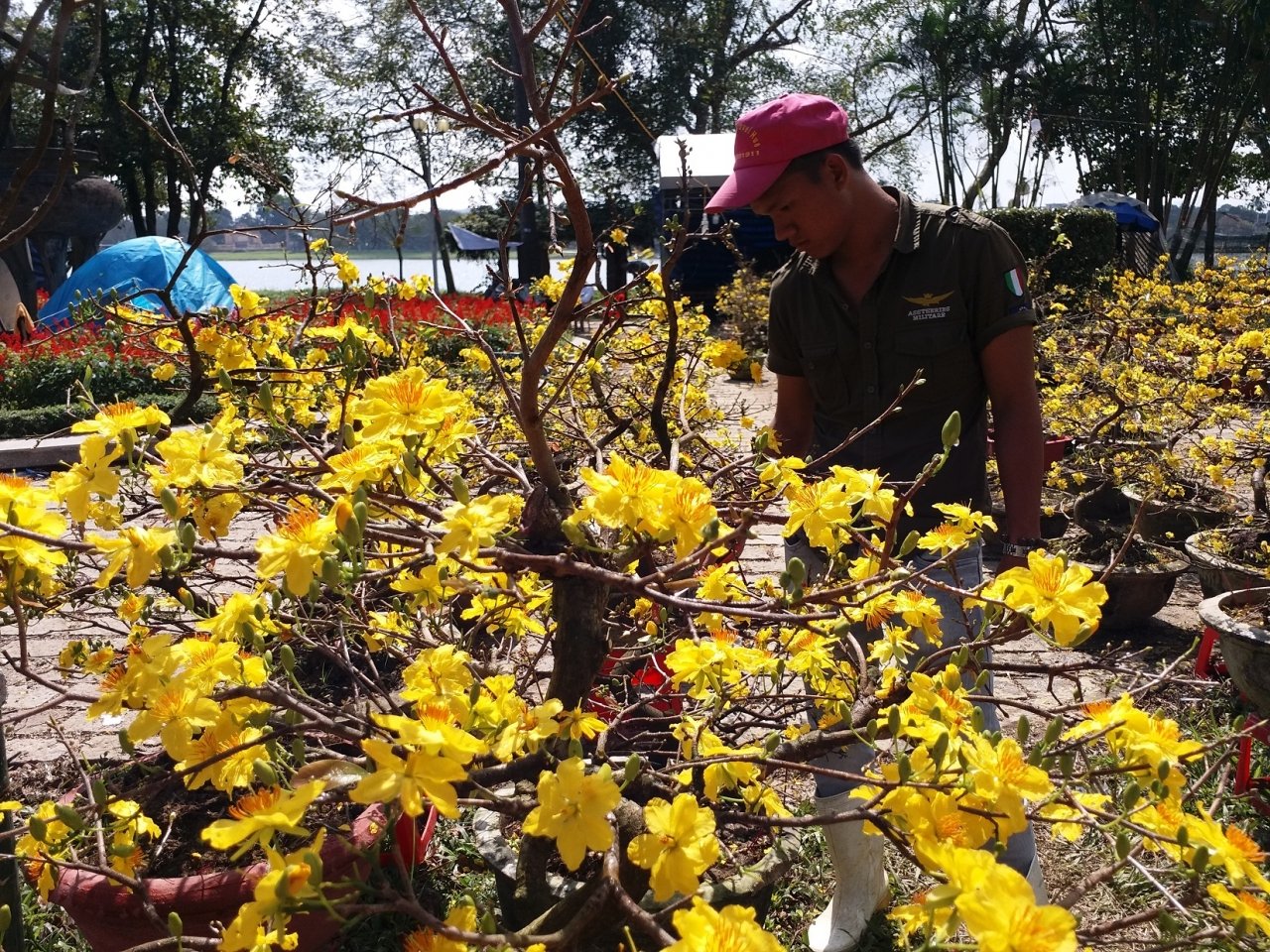 can-canh-cho-hoa-lon-nhat-hue-nhon-nhip-nhung-ngay-can-ke-cai-tet