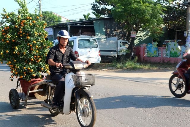 Các dịch vụ 