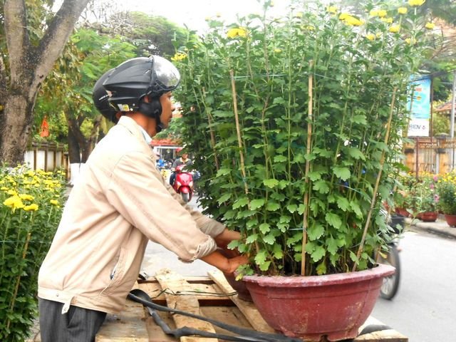 Các dịch vụ 