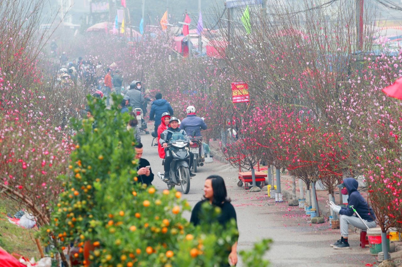 diem-danh-6-cho-hoa-noi-tieng-nhat-ha-noi-den-la-du-hoa-trang-tri-cho-ca-gia-dinh