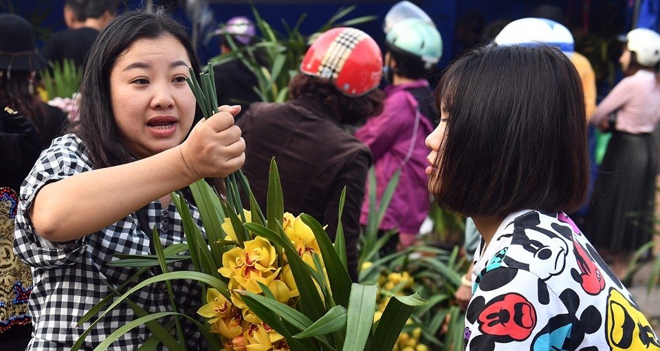 khach-do-xo-mua-hoa-dia-lan-ban-thao-gia-re