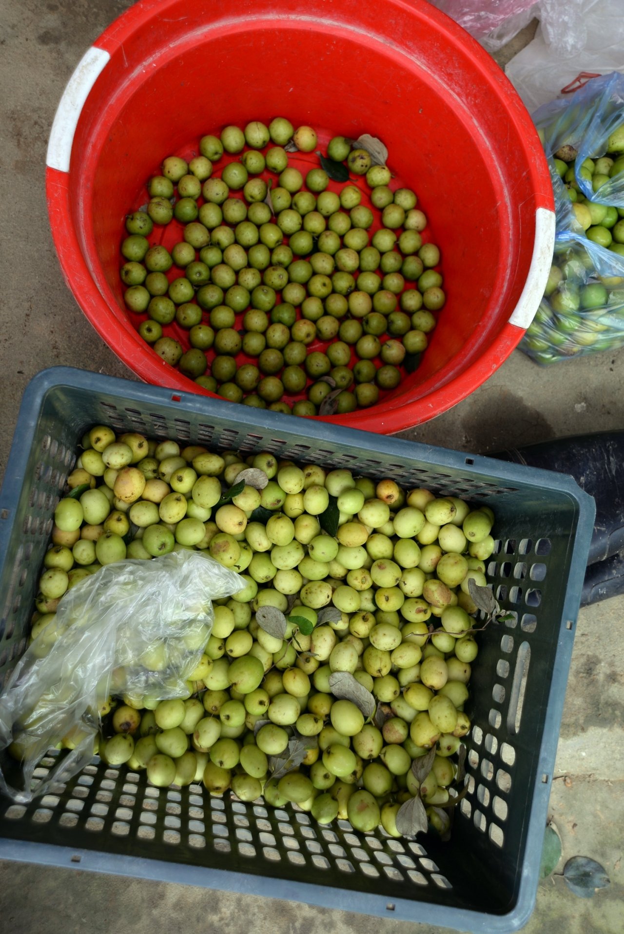 kiem-tien-trieu-moi-ngay-nho-ban-tao-dip-tet