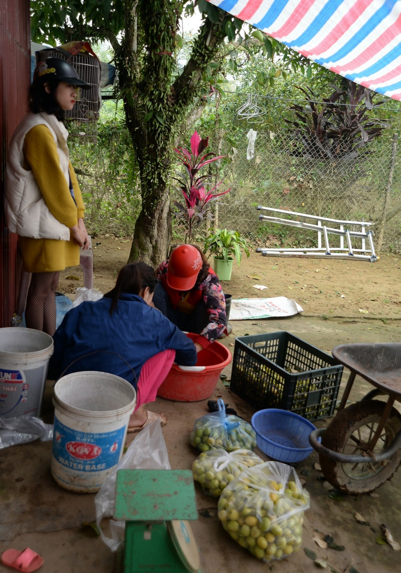 kiem-tien-trieu-moi-ngay-nho-ban-tao-dip-tet