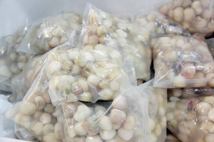 Chợ người Việt ở Đức tấp nập sát Tết