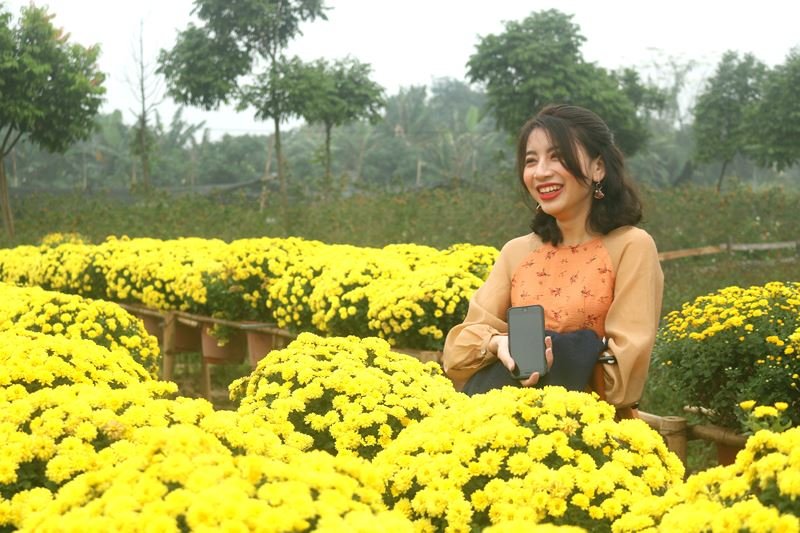 Cúc mâm xôi Sa Đéc khoe sắc giữa lòng Hà Nội