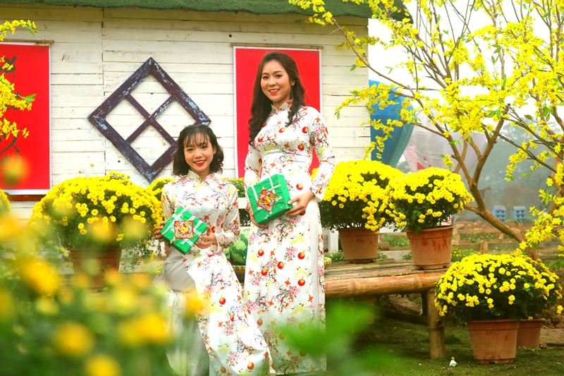 Cúc mâm xôi Sa Đéc khoe sắc giữa lòng Hà Nội