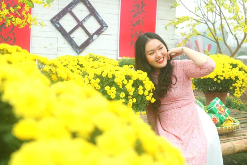 Cúc mâm xôi Sa Đéc khoe sắc giữa lòng Hà Nội
