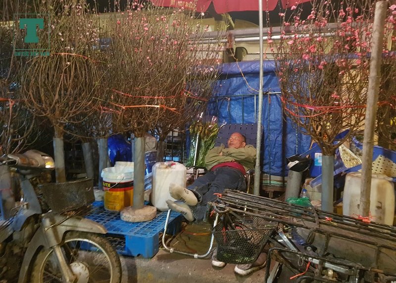 cho-hoa-quang-an-tap-nap-sang-30-tet