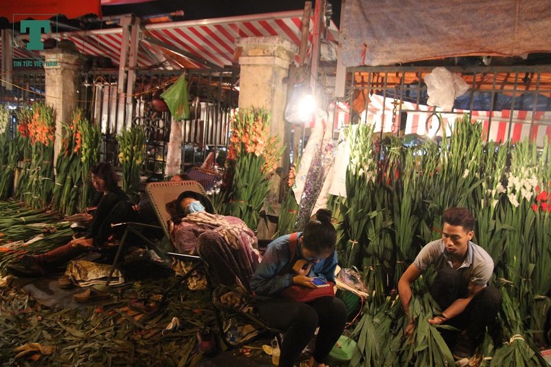 cho-hoa-quang-an-tap-nap-sang-30-tet