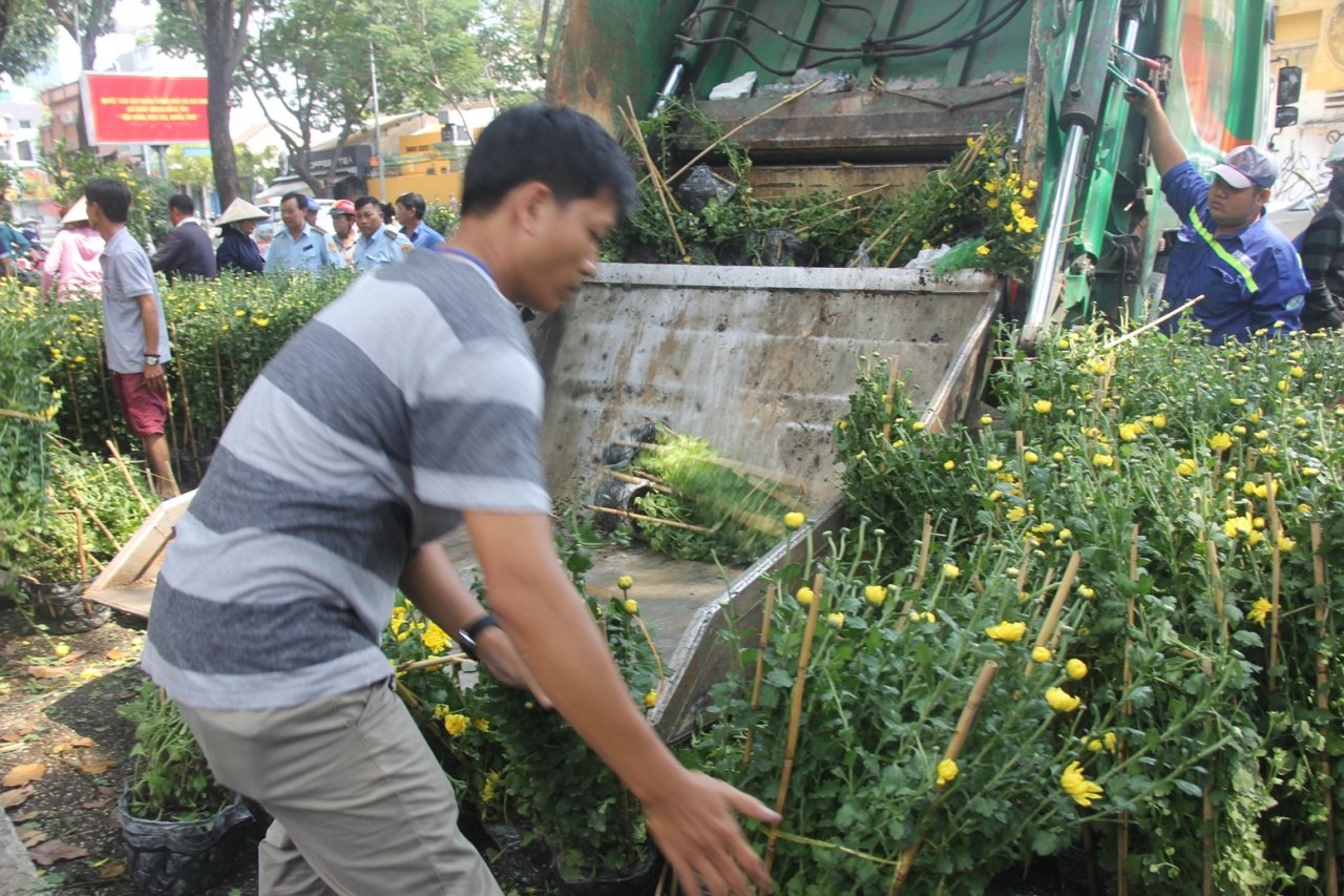 het-gio-ban-tieu-thuong-dap-pha-vut-hoa-cuc-mai-len-xe-rac-dut-khoat-khong-cho-o-tp-hcm