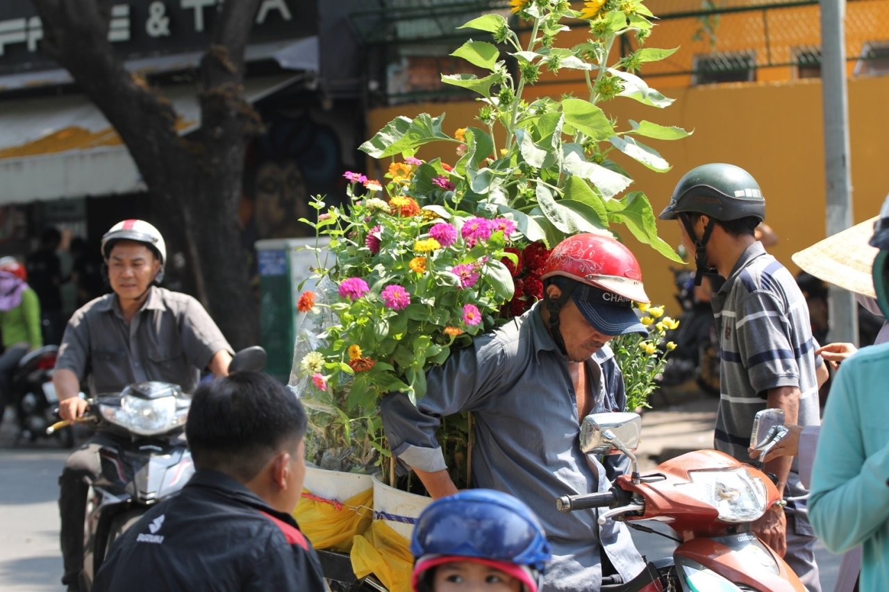 het-gio-ban-tieu-thuong-dap-pha-vut-hoa-cuc-mai-len-xe-rac-dut-khoat-khong-cho-o-tp-hcm